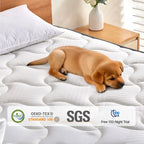 Babo Care Queen Mattress, 12 Inch Queen Hybrid Mattress in a Box, Anti-Static Fabric, Upgrade Individually Pocket Springs, Medium, Pressure Relief, Breathable Comfort, CertiPUR-US Certified