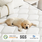 Babo Care Hybrid King Mattress, 10 inch Pocketed Coils & Memory Foam, Firm Support, Motion Isolation, Cool & Breathable, CertiPUR-US Certified