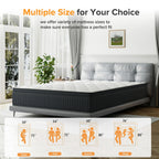 Babo Care 12 Inch Queen Mattress, Euro Top Hybrid Mattress, Medium Feel, Pocket Coils, Motion Isolation